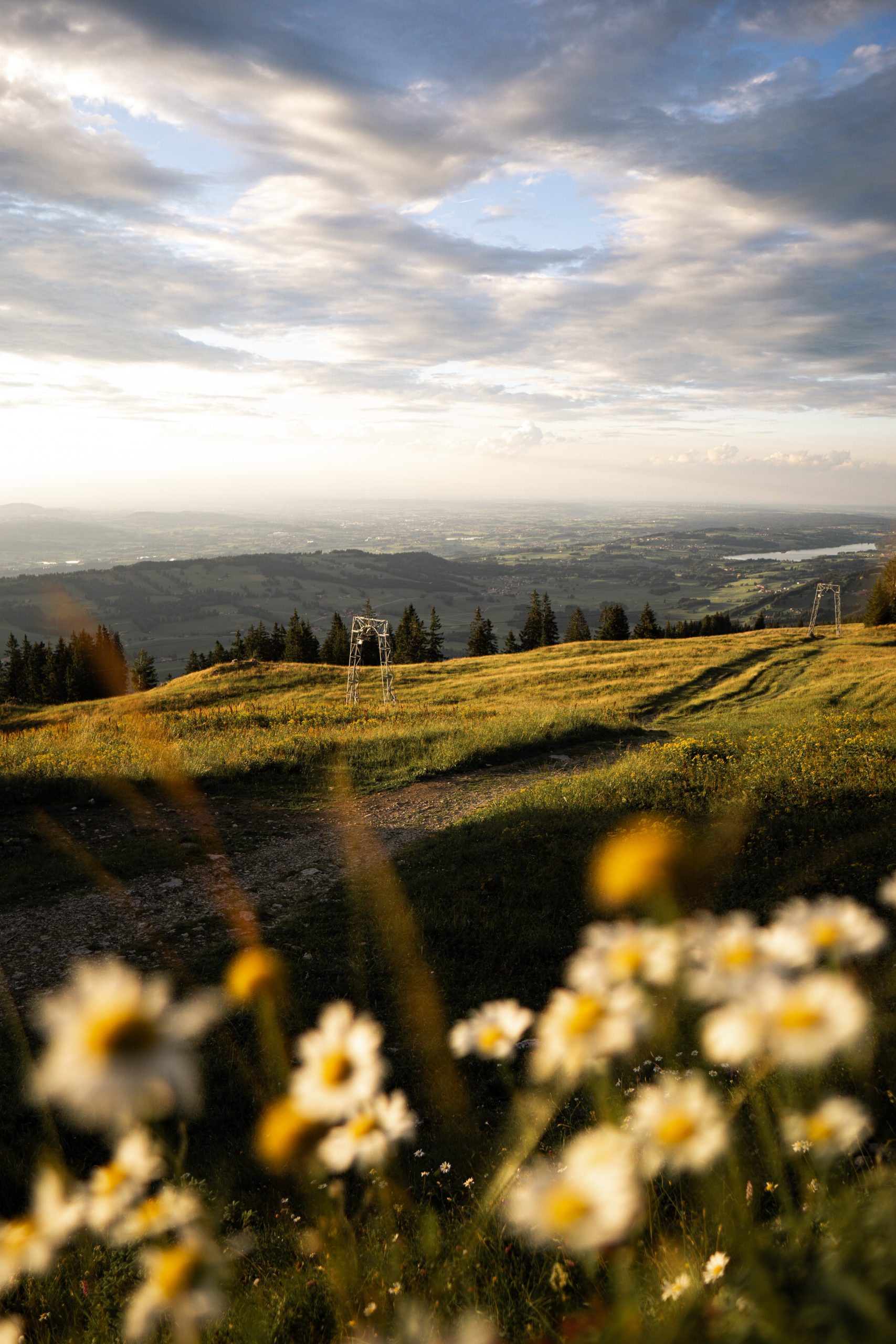 philipp-angerhofer-CImEzyHxbcI-unsplash